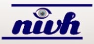 logo_NIVH
