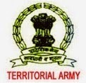 Territorial Army logo image