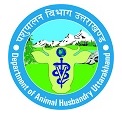 Pashudhan Prasar Adhikari Uttarakhand, Pashupalan Vibhag Vacancy, LEO Bharti Exam