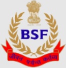 BSF Tradesman Exam, Pattern, Constable Selection Process