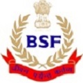 BSF Paramedical Staff, Veterinary Vacancy, SI ASI HC Constable Bharti