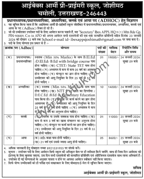 ibex apps joshimath vacancy